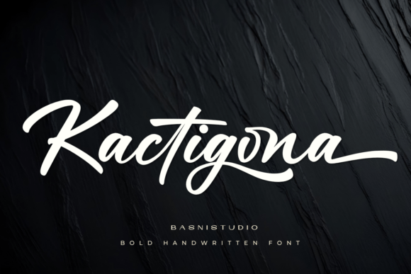 Kactigona: A Bold Handwritten Font for Modern Web Design