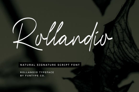 The Rollandio Font: A Small Business Branding Secret
